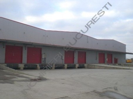Hale de inchiriat in parc industrial centura vest Militari
